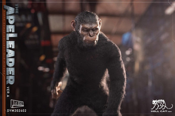 Hellcat DYM202402A 1/6 Scale Ape Leader (in stock)