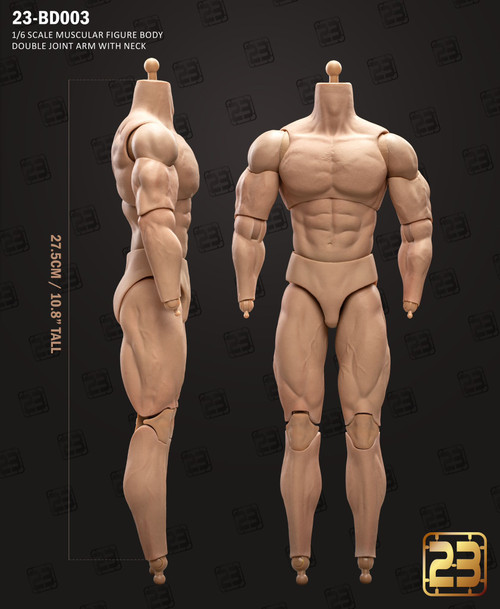 23toys 23-bd003 1/6 scale Ripped Body (in stock)