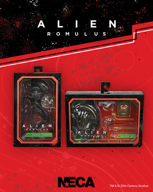 Alien Romulus: Scorched Xenomorph - 1/6 Scale Figure - Hot