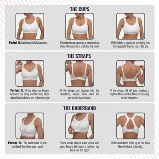shock absorber women's ultimate run sports bra