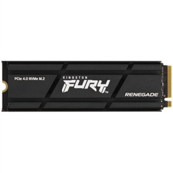 1000G RENEGADE PCIe 4.0 SSD