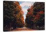 Country Road - Fall 1081355 - 
