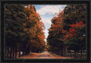 Country Road - Fall 1081521 - Moulding 7900  Small Black Step Float Frame 