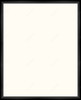 Complete Frame - 1008095
