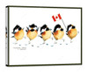 Canadian Chicks 817113 - 