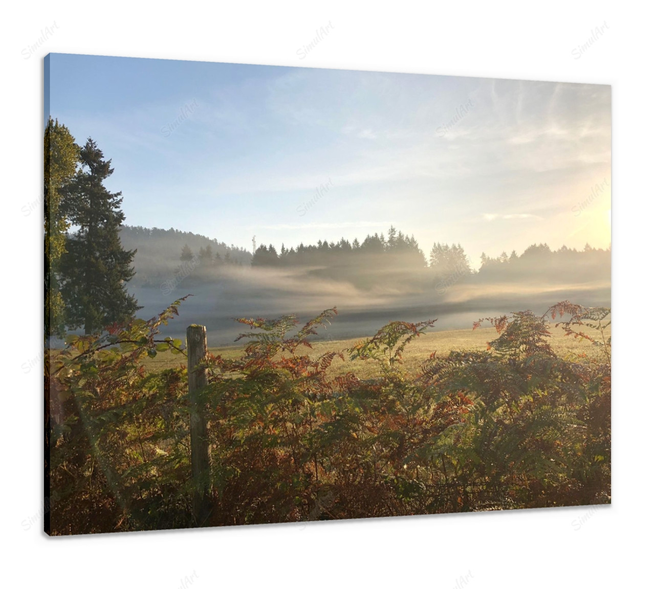 Farm scene #1 - Fall 1077139 - 