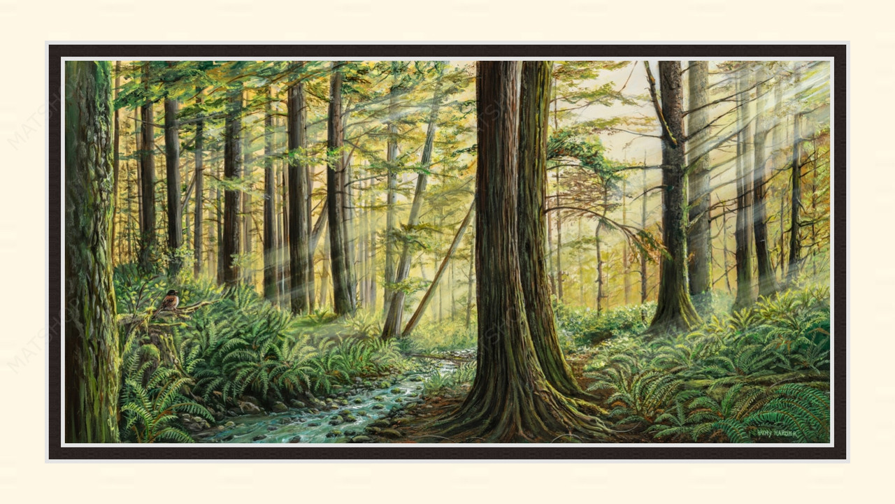 Custom Mat - 1003602 Custom Mat - 1003602