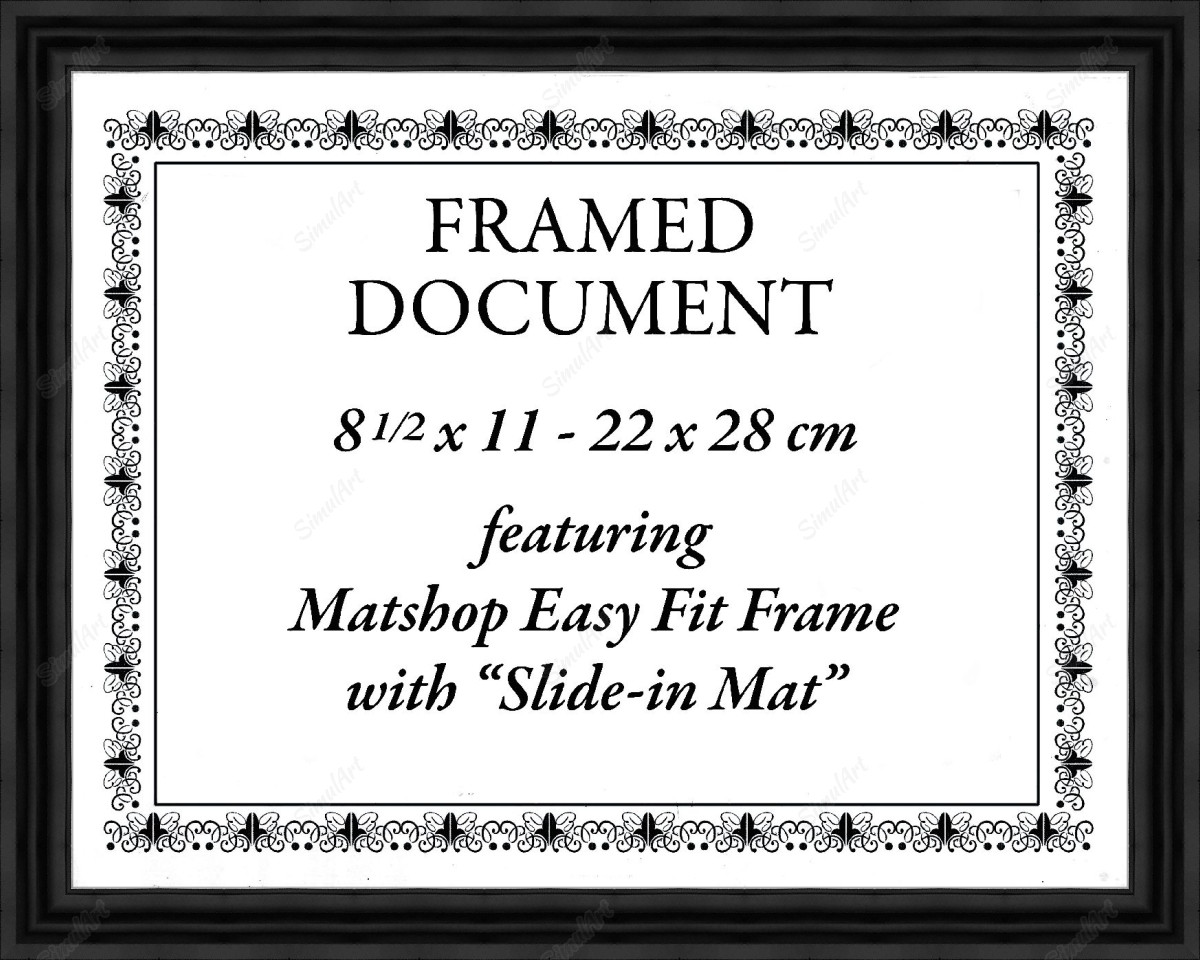 Blank Certificate for fit 1081337 - Moulding 7900  Small Black Step Float Frame 
