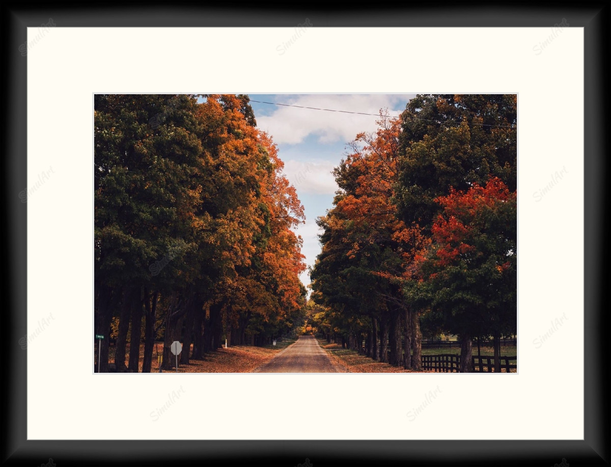 Country Road - Fall 1081396 - Moulding MS7300K   3/4" Black Cube Mat Essentials White Core Polar White Regular Glass Glass Manila Board (Max 32x40) Back 