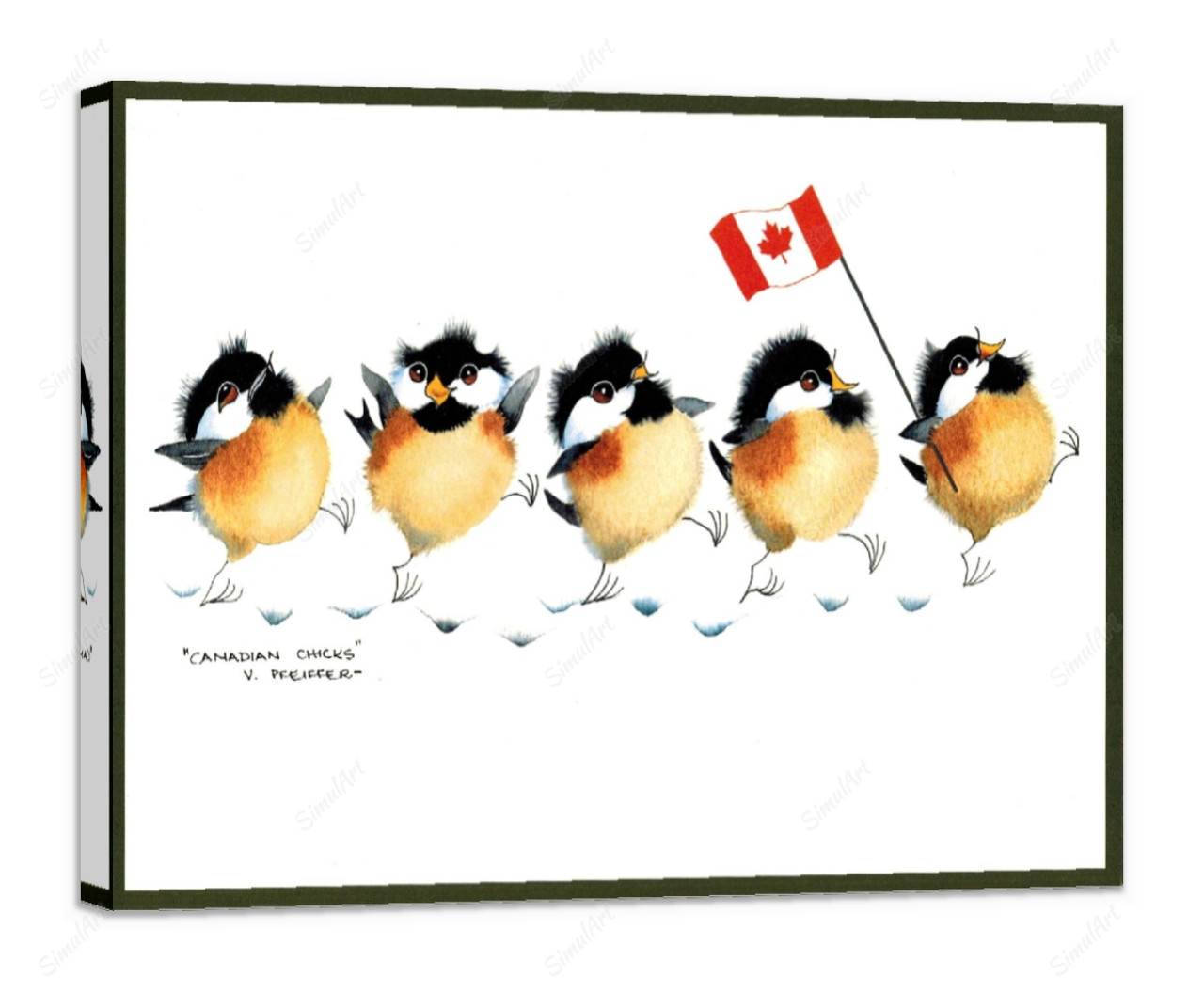Canadian Chicks 816970 - 
