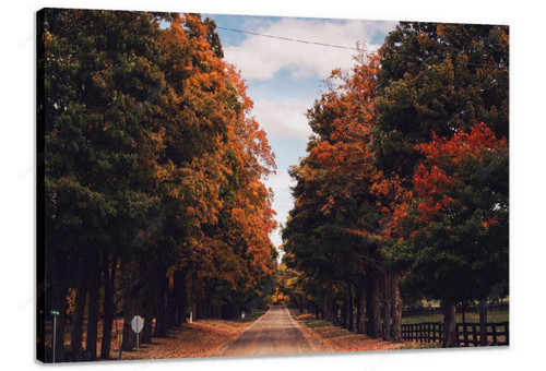 Country Road - Fall 1077202 -  Country Road - Fall 1077202 -