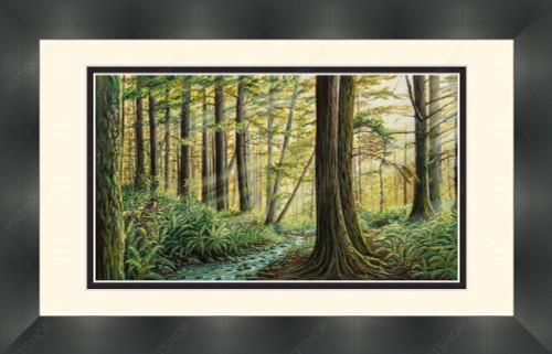 Complete Frame - 1003601 Complete Frame - 1003601