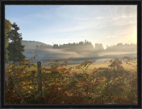 Farm scene #1 - Fall 1080752 - Moulding 7900  Small Black Step Float Frame 