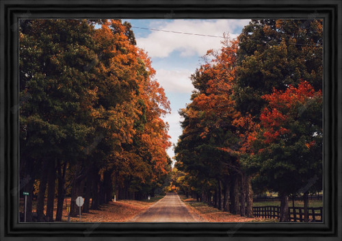 Country Road - Fall 1080867 - Moulding 7900  Small Black Step Float Frame 