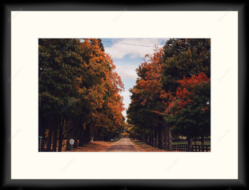 Country Road - Fall 1080969 - Moulding MS7300K   3/4" Black Cube Mat Essentials White Core Polar White Regular Glass Glass Manila Board (Max 32x40) Back 