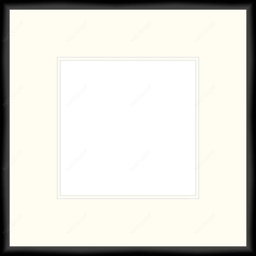 Complete Frame - 1007182