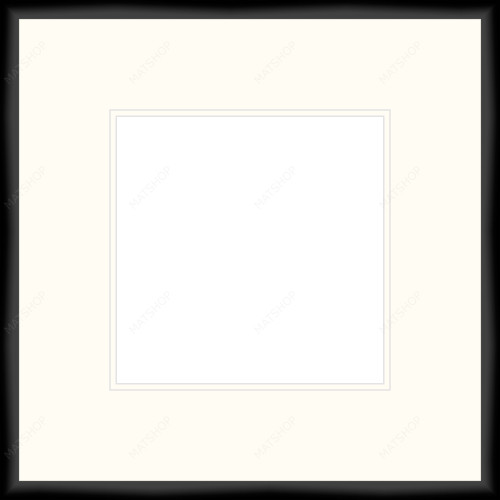 Complete Frame - 1007251