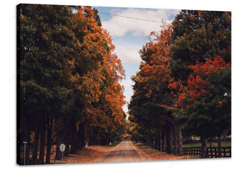 Country Road - Fall 815967 - 