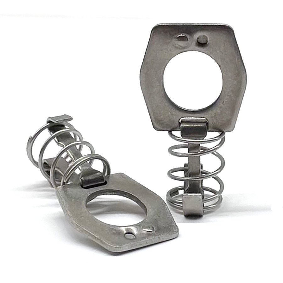 Stainless Steel Spring Latch