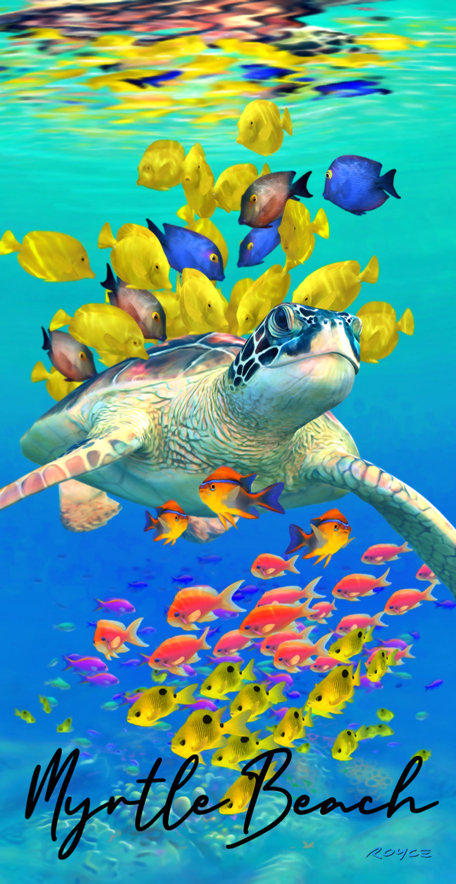 https://cdn11.bigcommerce.com/s-dk0w1rcn/images/stencil/1280x1280/products/4544/11594/77313-5_Turtle_Reef_MB1__36444.1652467879.jpg?c=2