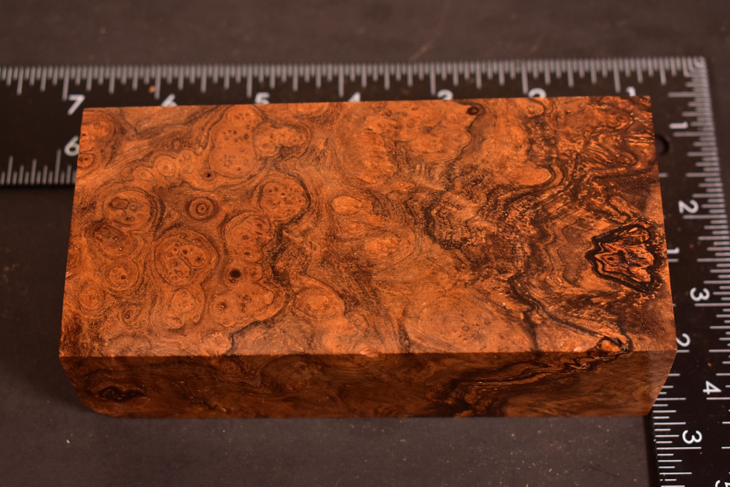 Stabilized Circassian Walnut Burl 3 (2.57 x 1.7 x 5.4)