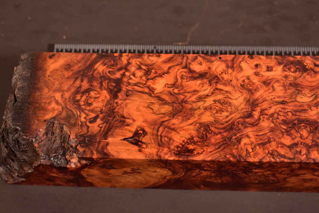 Honduras Rosewood Burl 49 (2.6 x 2.15 x 11.5)