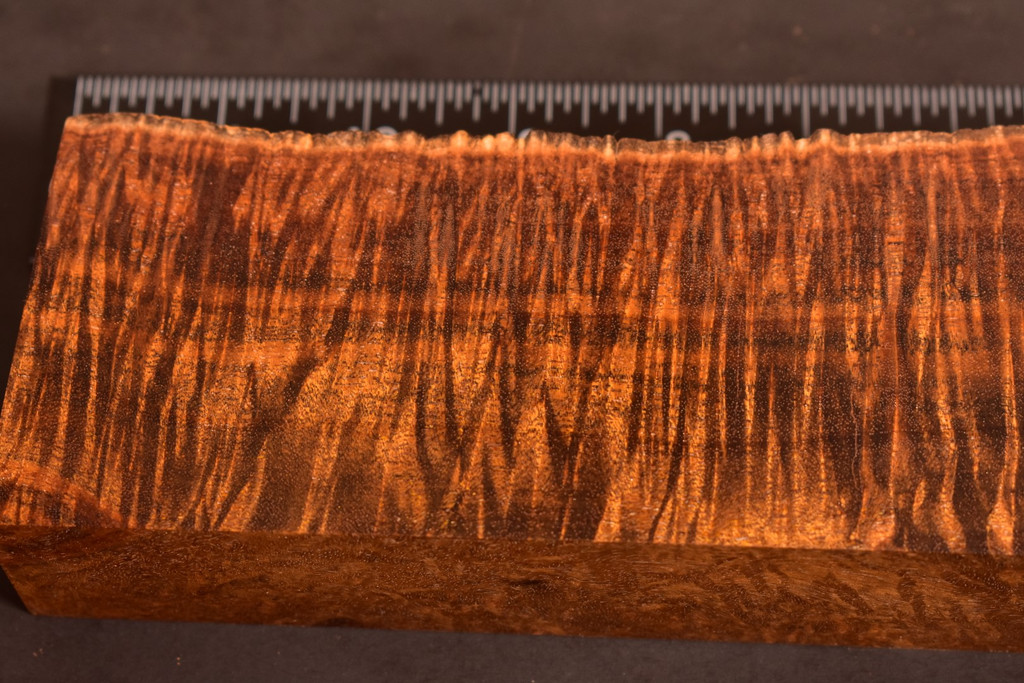 BEST Stabilized Curly Golden Acacia 18 (3 - 2.25 x 1.5 x 10.65)