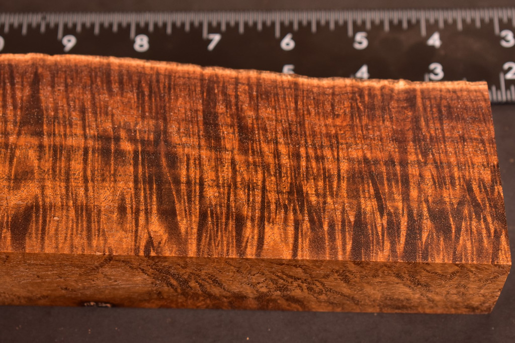 BEST Stabilized Curly Golden Acacia 19 (2.5 - 2.9 x 1.65 x 10.5)