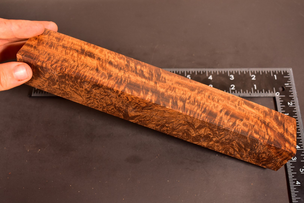 Stabilized Curly Golden Acacia 21 (1.8 x 1.5 x 10.75)