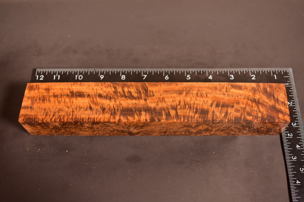 Stabilized Curly Golden Acacia 21 (1.8 x 1.5 x 10.75)