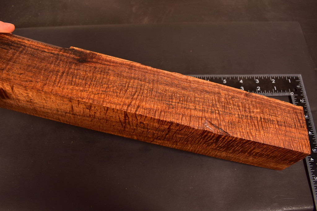 BEST Stabilized Curly Golden Acacia 22 (2.5 x 2.375 x 14.5)