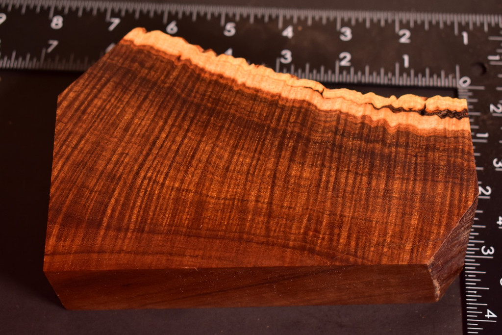 BEST Ringed Gidgee 32 (4 - 2.4 x 1.7 x 6)