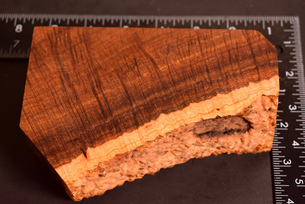 BEST Ringed Gidgee 32 (4 - 2.4 x 1.7 x 6)