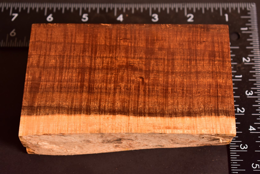 Ringed Gidgee 37 (3.1 x 1.35 x 5.24)