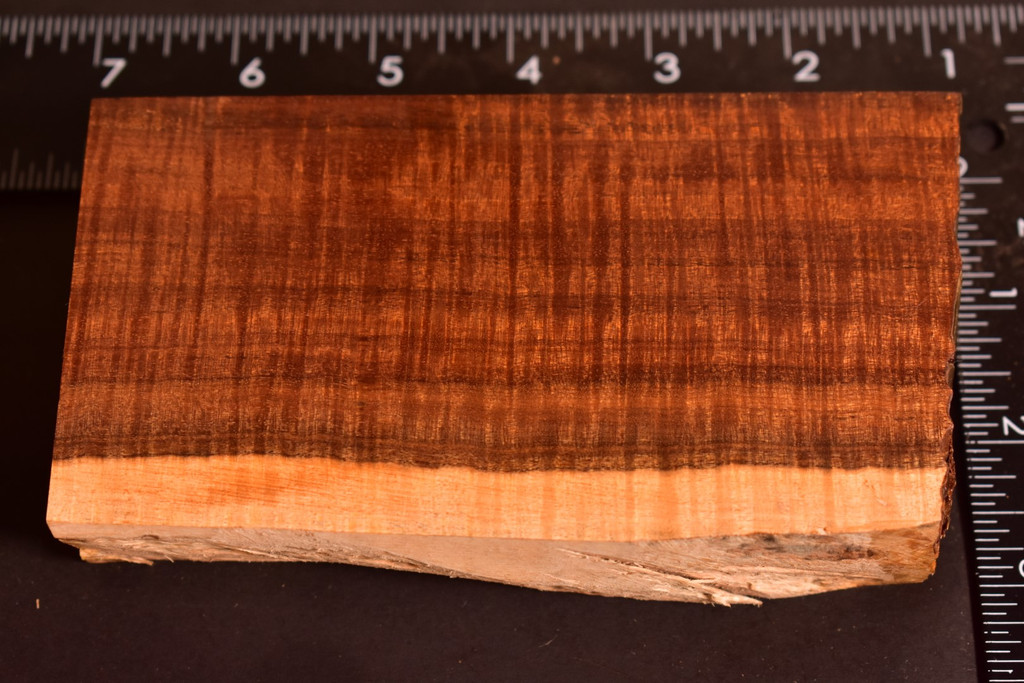 Ringed Gidgee 38 (3 x 1.35 x 5.5)