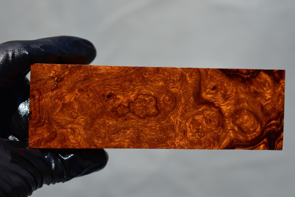 Desert Ironwood Burl 2e (1 ¾ x 1 x 5 ½)