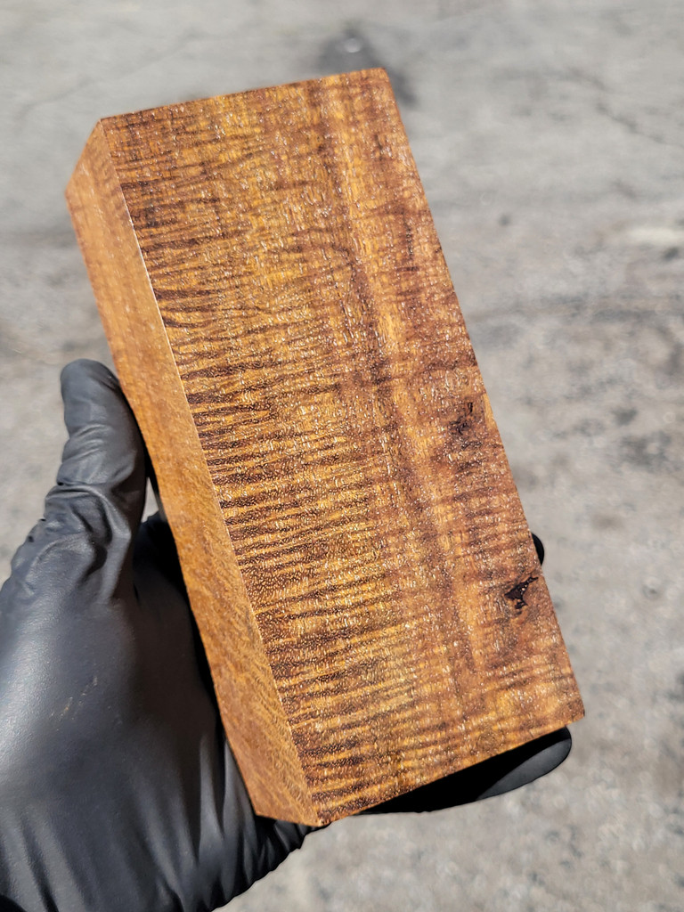 Stabilized Curly Golden Acacia 43 (2.8 x 2.1 - 1.85 x 6.5)