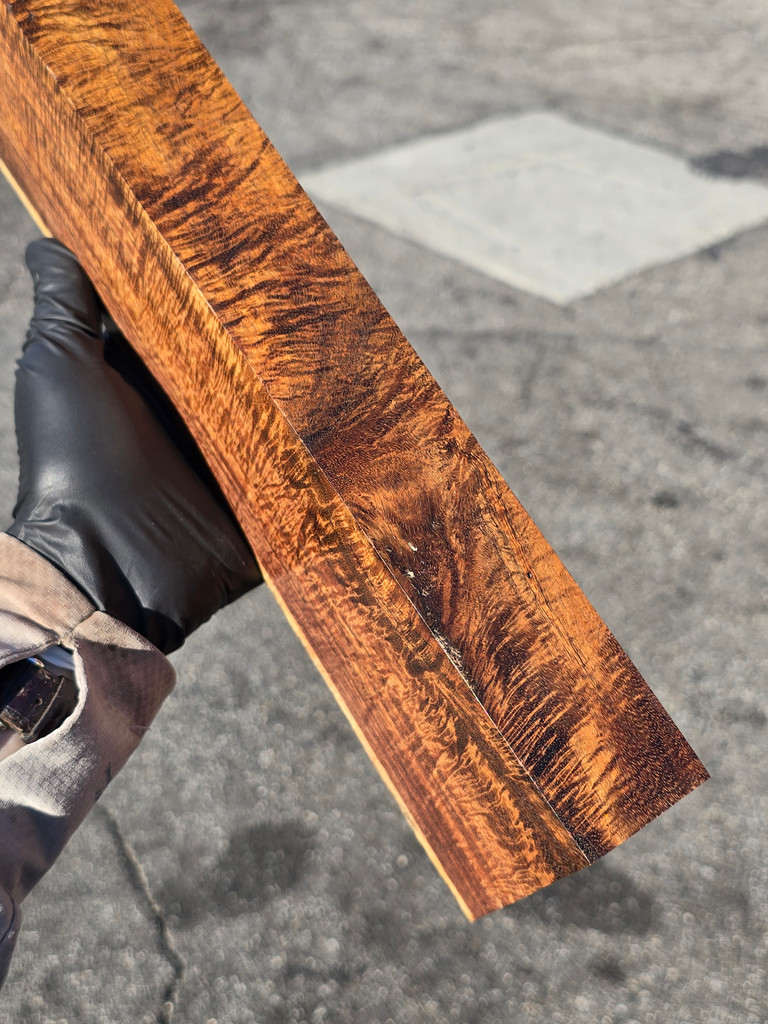 BEST Stabilized Curly Golden Acacia 70 (4-5.2 x 1.85 x 14)