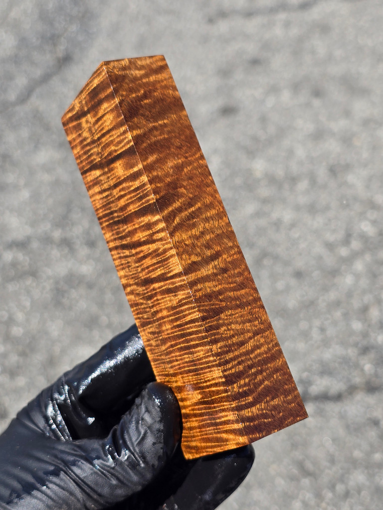 Stabilized Curly Golden Acacia 8B (1.7 x 1 x 5.3)