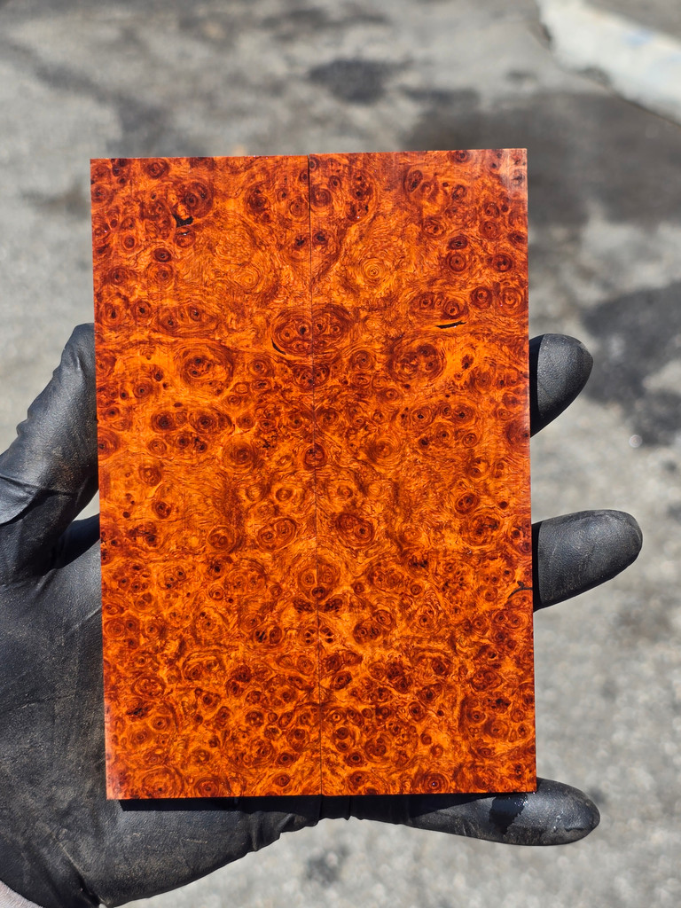 Stabilized Red Amboyna Burl Scales 26D (1.85 x .3 x 5.65)x2