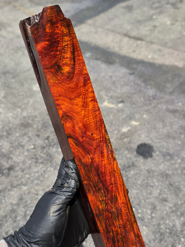 Curly Siam Rosewood 1 (2.2 x 2.05 x 17.5)