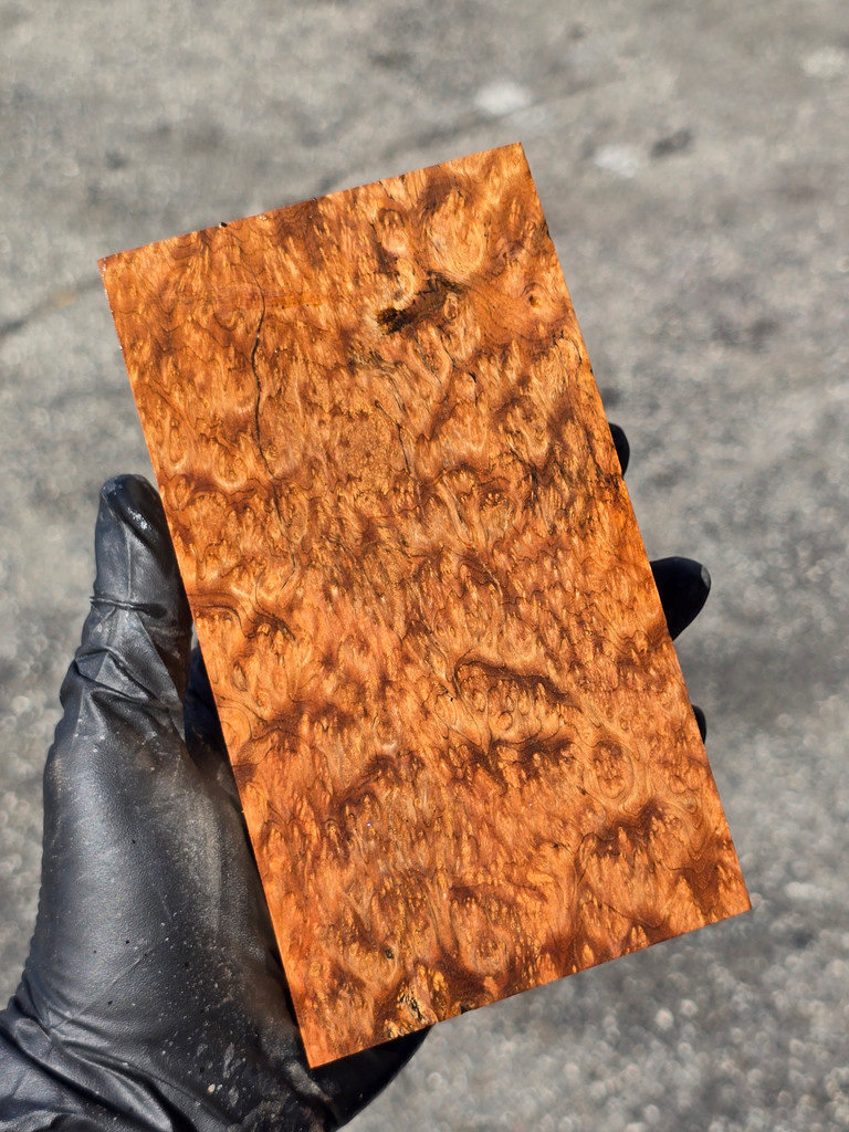 Stabilized Satinwood Burl 1B (3.6 x 1.7 x 6.25)