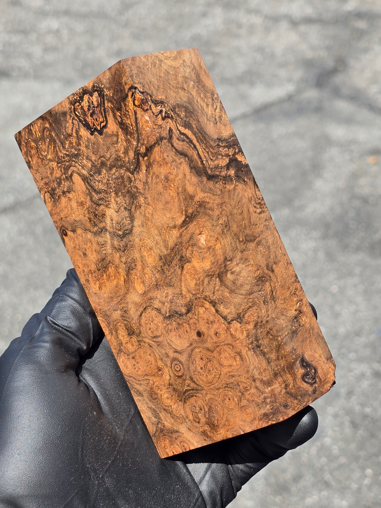 Stabilized Circassian Walnut Burl 10 (2.57 x 1.7 x 5.4)