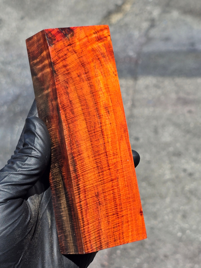 Curly Siam Rosewood 5 (2.1 x 1.2 x 6)