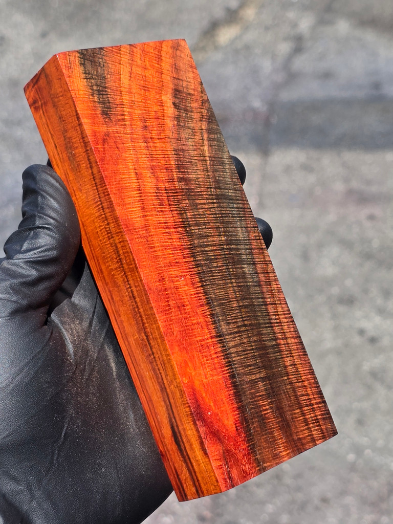 Curly Siam Rosewood 5 (2.1 x 1.2 x 6)