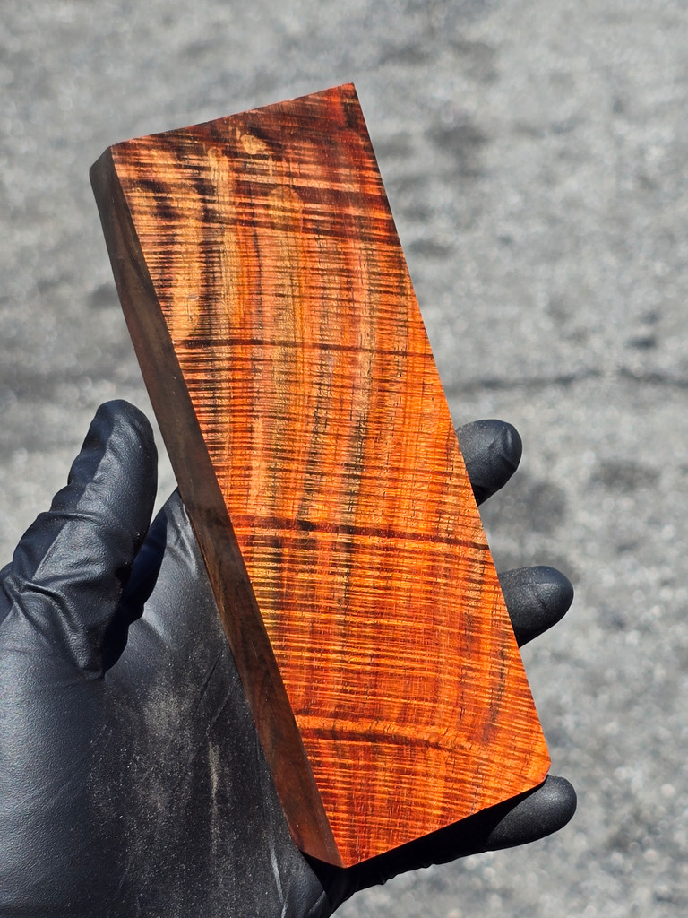 BEST Curly Siam Rosewood 7 (2.25 x 1.2 x 6.4)