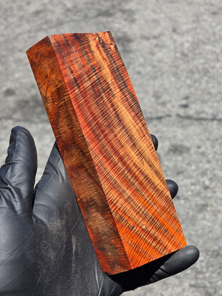 BEST Curly Siam Rosewood 7 (2.25 x 1.2 x 6.4)