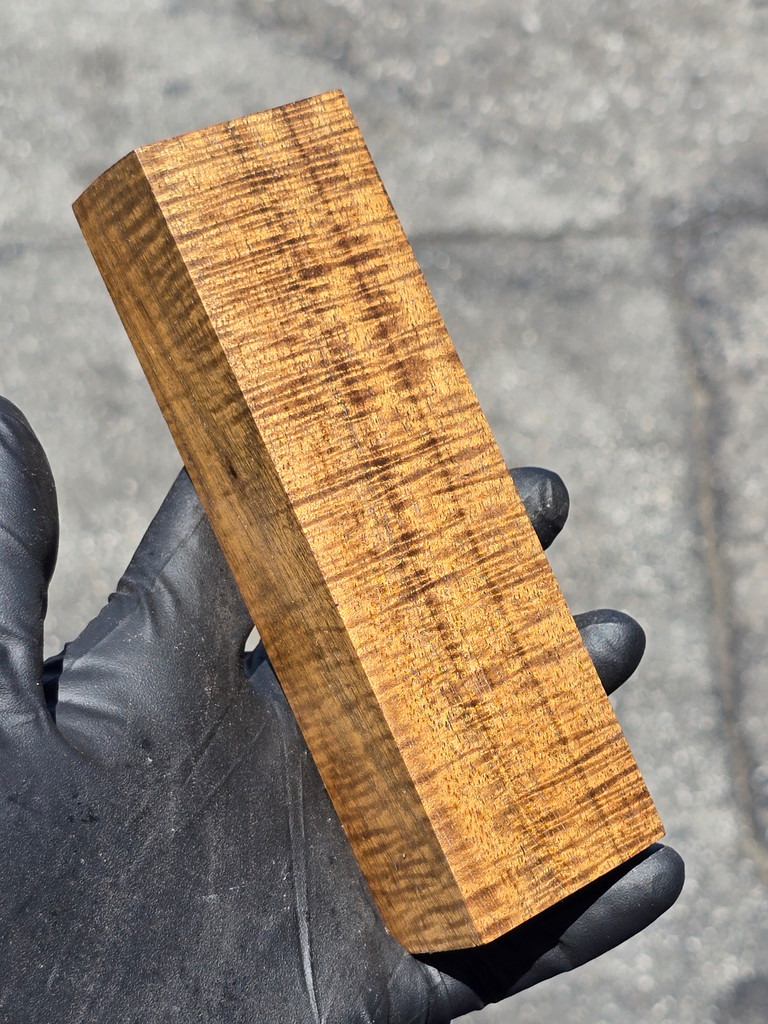 Stabilized Curly Golden Acacia 11 (1.75 x 1.35 x 5.95)