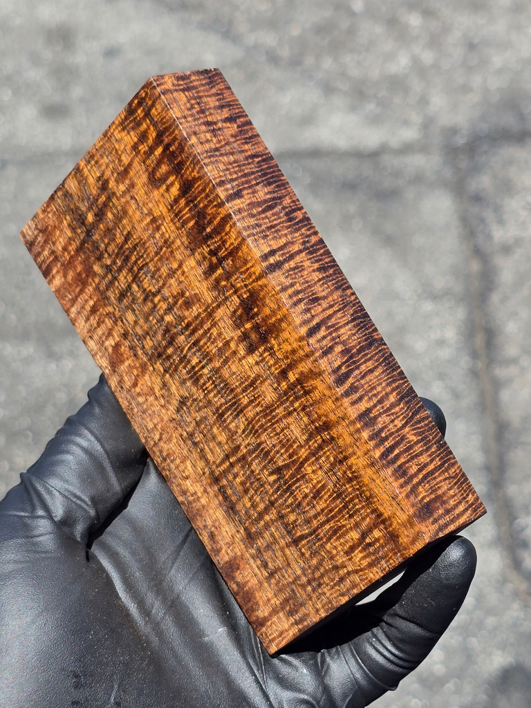 Stabilized Curly Golden Acacia 27 (2.7 x 1 x 5.25)