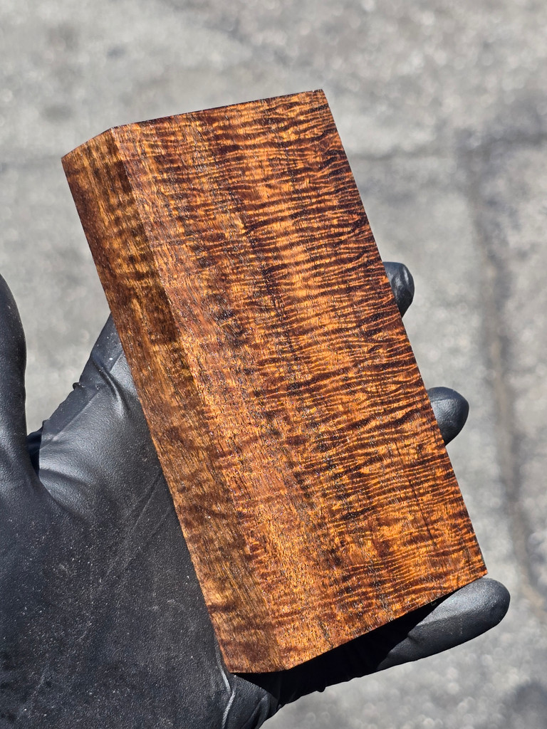 Stabilized Curly Golden Acacia 27 (2.7 x 1 x 5.25)